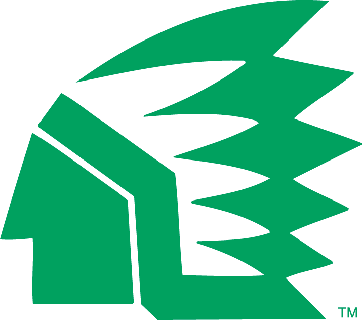North Dakota Fighting Hawks 1976-1999 Primary Logo t shirts iron on transfers